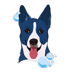 Luxury Car Wash Need A Wash?